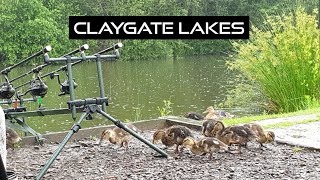 claygate lakes summer 2021 [upl. by Panther]