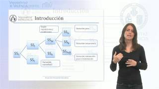 Introducción I  Análisis de varianza factorial medidas repetidas ANOVA [upl. by Aicila]