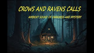 🐦‍⬛CROWS AND 🐦‍⬛RAVENS CALLS DURING WINDY NIGHT FOR SLEEP STUDY AND CONTEMPLATION 🐦‍⬛ 3 HOURS [upl. by Hollander613]