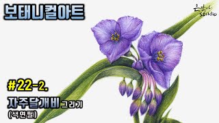 환상적인 보라색의 꽃  자주달개비 색연필 꽃그림  Spiderwort Flower Drawing [upl. by Weisburgh]