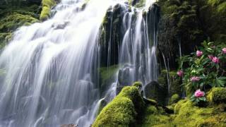 Beautifull HD Waterfall Wallpapers [upl. by Galven]