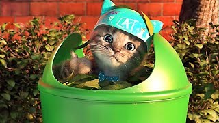 Little Kitten Preschool  My Favorite Cat  Videos For Kids [upl. by Keverne]