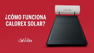 ¿Cómo funciona el calentador Calorex Solar [upl. by Livesay50]