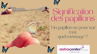 Signification des papillons quel est le message selon leur couleur [upl. by Ecreip]