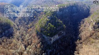 Top 3 Trails of Cloudland Canyon Explained [upl. by Avrenim]