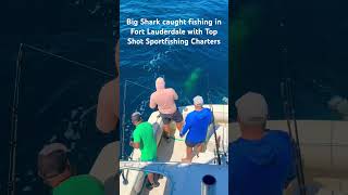 Top Shot Sportfishing Charters fishingcharters fish shark sportfish deepseafishing fishing [upl. by Hiller]