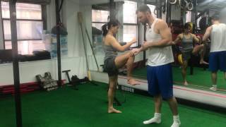 Strengthen Your Knee With These Exercises Knee Hinges [upl. by Hermina]