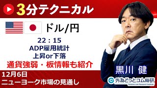 ドル円見通し 「22：15 ADP雇用統計 、上昇or下落」見通しズバリ！3分テクニカル分析 ニューヨーク市場の見通し 2023年12月6日 [upl. by Anceline]