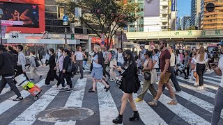 【高画質FHDお散歩ライブカメラ】渋谷 散歩 Shibuya walking【live camera】 [upl. by Oznerol]