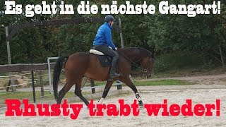 Rhusty TRABT WIEDER  Es geht voran  MA Chevaux De Sport [upl. by Celeski481]