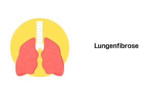 Lungenfibrose  Erkrankungen der Atemwege [upl. by Nnaaras]