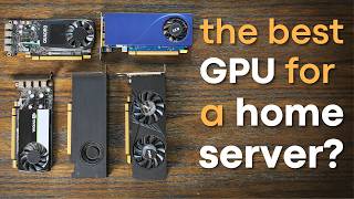 Whats the BEST LowProfile GPU for your Home Lab [upl. by Lacram391]