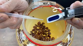 Refractometer How to Use for Specific Gravity in Mash [upl. by Alleira254]