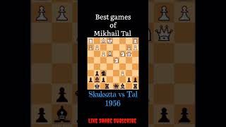 👌 😱 games of Mikhail Tal shorts ytshorts chess ches [upl. by Elacim238]