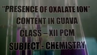 CHEMISTRY INVESTIGATORY PROJECT ON THE TOPIC OXALATE ION IN GUAVA FRUIT AT DIFFERENT STAGES [upl. by Lunsford]