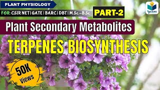 PLANTS SECONDARY METABOLITES PART2 TERPENES BIOSYNTHESIS CSIR NET [upl. by Bryna]