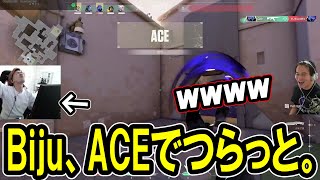 覚醒BijuのつらっとACEに笑う加藤純一【20231031】 [upl. by Mosier]