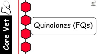 L10 Quinolones FQs  Veterinary Chemotherapy  Pharmacology and Toxicology [upl. by Lamoree]