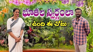 ఇక్కడ ఆర్కిడ్ల కలెక్షన్ అదిరిపోయింది Vizag Orchidarium Visit MADGARDENER [upl. by Nibroc]