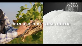 Südzucker Von der Rübe zum Zucker [upl. by Aitekram]