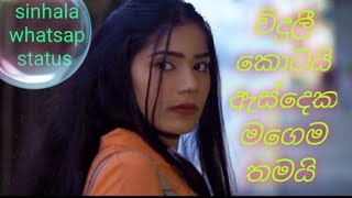 viduli kotai as deka විදුලී කොටයි mal pipena kalesinhala whatsap status songsubscribe karanna❤️ [upl. by Merta277]