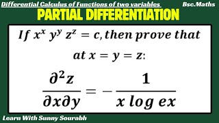 PARTIAL DIFFERENTIATION [upl. by Akirat]