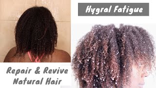 Hygral Fatigue  Natural Hair Damage  How To Prevent amp Fix [upl. by Warder]