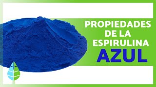 BENEFICIOS de la ESPIRULINA AZUL 💙✅ Propiedades Medicinales Para Qué Sirve y Contraindicaciones [upl. by Belcher506]