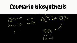 Shikimate pathway part 9  Coumarin biosynthesis [upl. by Aserehc592]