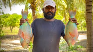 PARROT FISH TANDOORI IN VILLAGE  Tamil Style Parrot Fish Tandoori  VillageCookingChannel [upl. by Bord575]