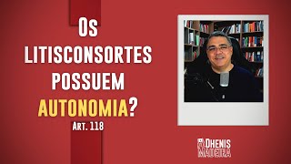 Os litisconsortes possuem autonomia [upl. by Nivert121]