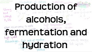 Production of Alcohols Fermentation and Hydration  Revision for Chemistry ALevel and IB [upl. by Ilysa211]