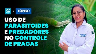 INOVAÇÕES CURIOSIDADES E EFICIÊNCIA NO USO DE PARASITOIDES E PREDADORES NO CONTROLE DE PRAGAS [upl. by Puglia]