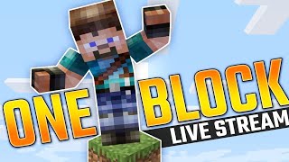 I AM PLAYING ONE BLOCK minecraft viral [upl. by Pooley134]