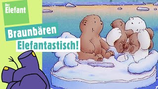 Der kleine Eisbär spielt mit den Braunbären amp Der Buchstabe B  Der Elefant  WDR [upl. by Arek37]