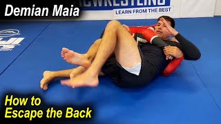 How to Escape from the Back with Demian Maia [upl. by Naux]