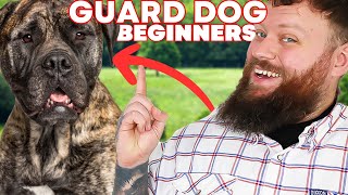 The Best GUARD DOG BREEDS FOR FIRST TIME OWNERS [upl. by Aniuqaoj197]