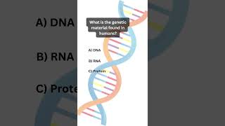 What carries amino acids to ribosomes during protein synthesis Ans tRNA [upl. by Toh]