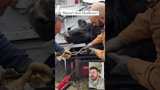 5 LEGGED COW gets 1st HEADICURE mind blown🤯 wow weird strange satisfying cow farming [upl. by Silverstein]