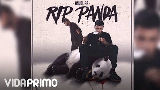 Anuel AA  RIP Panda ft Arcangel Official Audio [upl. by Hadria]