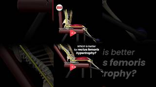 Which is better for rectus femoris hypertrophy [upl. by Carnes]