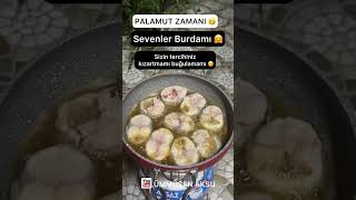 🎣 PALAMUT ZAMANI 👌 short shorts palamut balık tasty [upl. by Melisande]