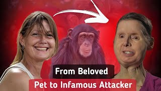 Chimpanzee Attack  The Story of Travis The Chimp and Charla Nash [upl. by Kalmick]