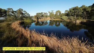 Tanunda Wetlands flythrough [upl. by Touber410]