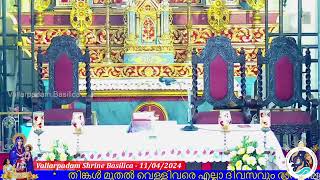 11 APRIL 2024  0630AM  LIVE HOLY MASS  വിശുദ്ധ കുർബാന  VALLARPADAM SHRINE BASILICA [upl. by Aisanat90]