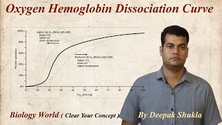 Oxygen Haemoglobin Dissociation Curve  Oxyhaemoglobin Dissociation Curve [upl. by Aleemaj]