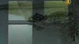 Giant Monster Caught on Film Tape in Sweden Lake [upl. by Christianson]