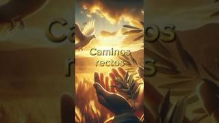 Caminos rectos shortvideos shortvideos shorts biblia fe mensaje [upl. by Melena889]