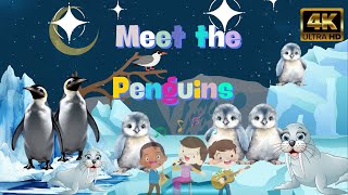 Meet the Penguins Childrens Song [upl. by Morrie]