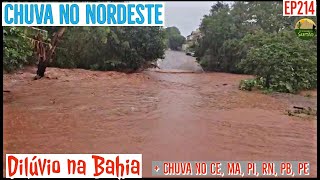 Chuva e Enchentes na Bahia Muitos rios e riachos transbordando EP214 [upl. by Orth]